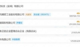 立讯精密爆料最新消息,揭秘公司最新动态与未来发展规划